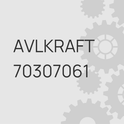 Фильтр воздушный FOTON Aumark S120 с мотором ISF3.8s5168  L1119019010A0