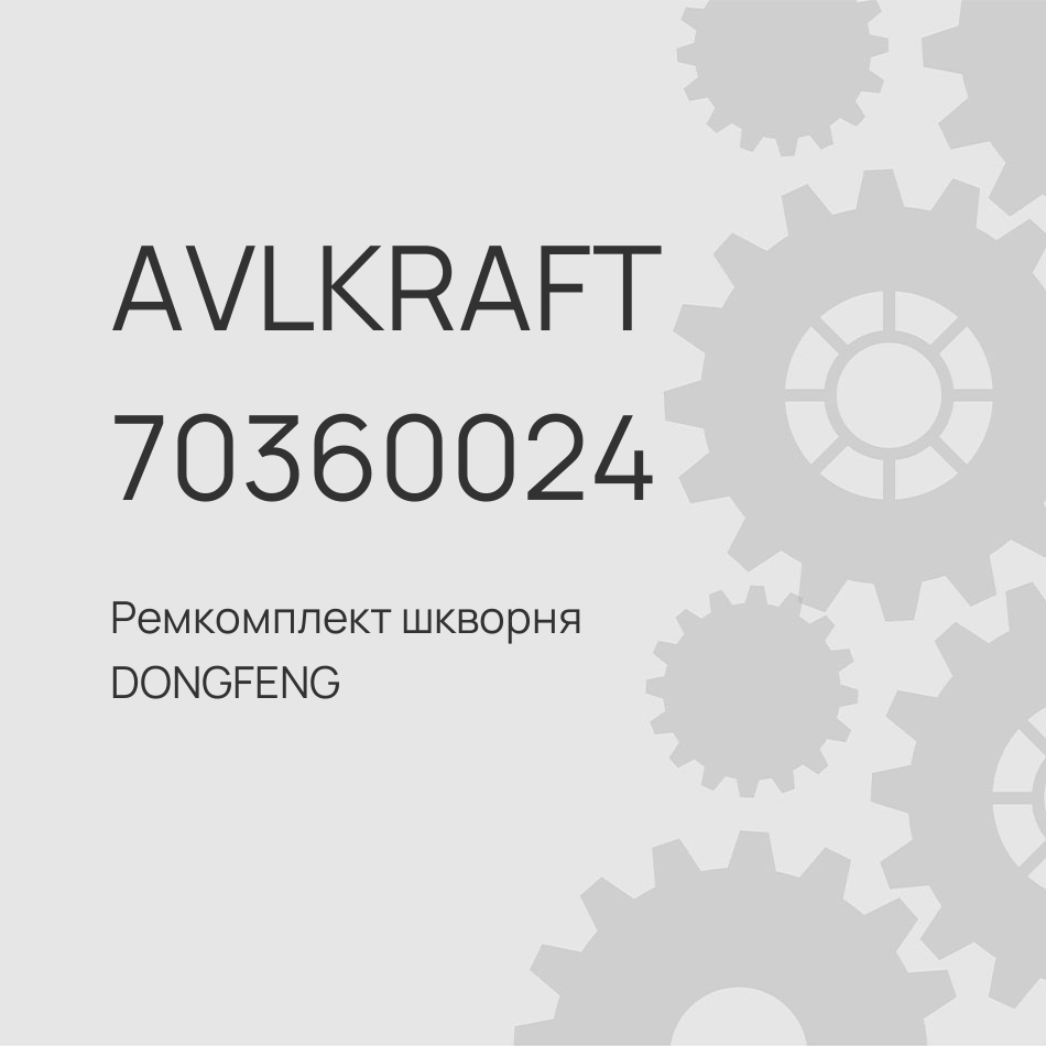 Ремкомплект шкворня DONGFENG C80/C100 на ось 30DS0301021KIT