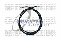 Шланг сцепления