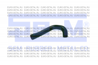 Шланг радиатора