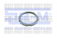 Гайка ступицы Неоплан задняя M105x1.5 внутр. грани 6шт